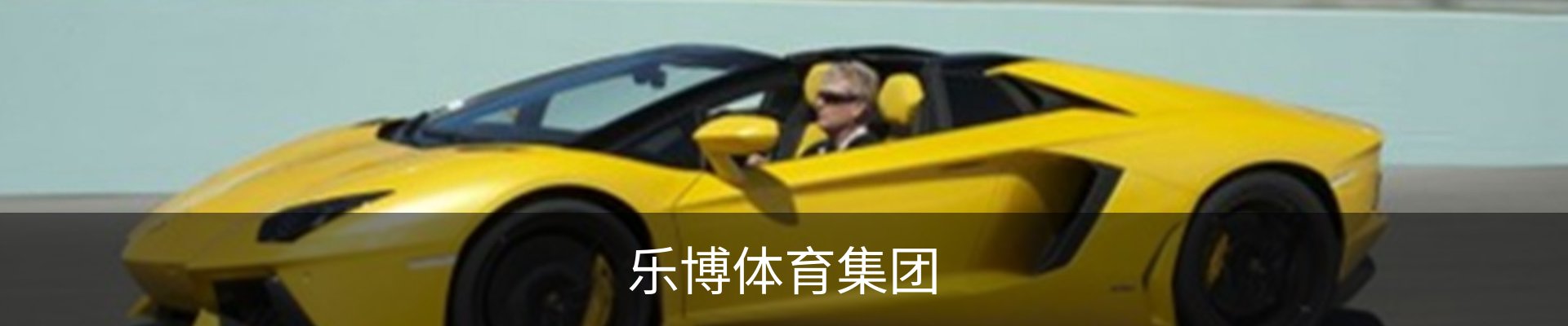乐博体育集团